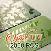 2000 PCS Spot UV Business Card